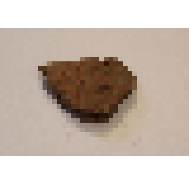 Фрагмент стенки сосуда