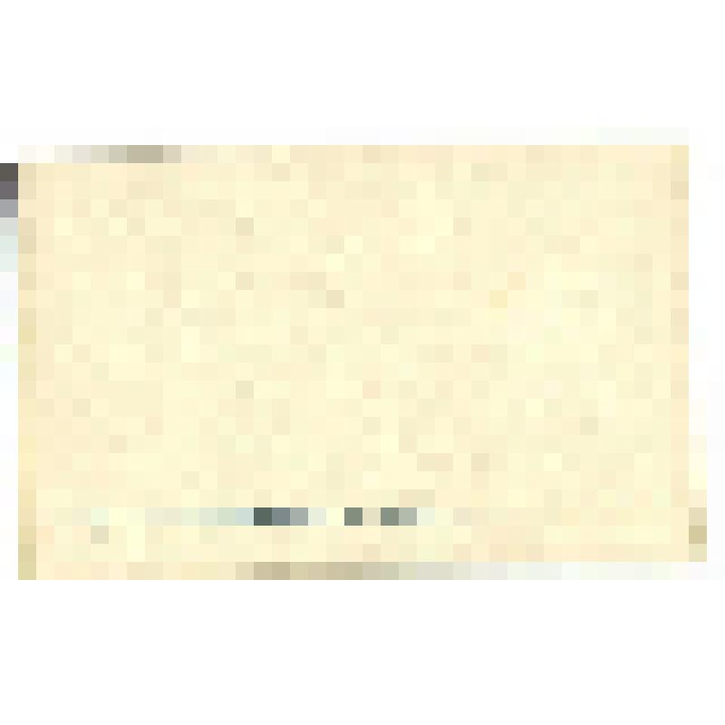 Открытка. Открытка цветная. "С Новым годом!". Художник Е.И. Пашков