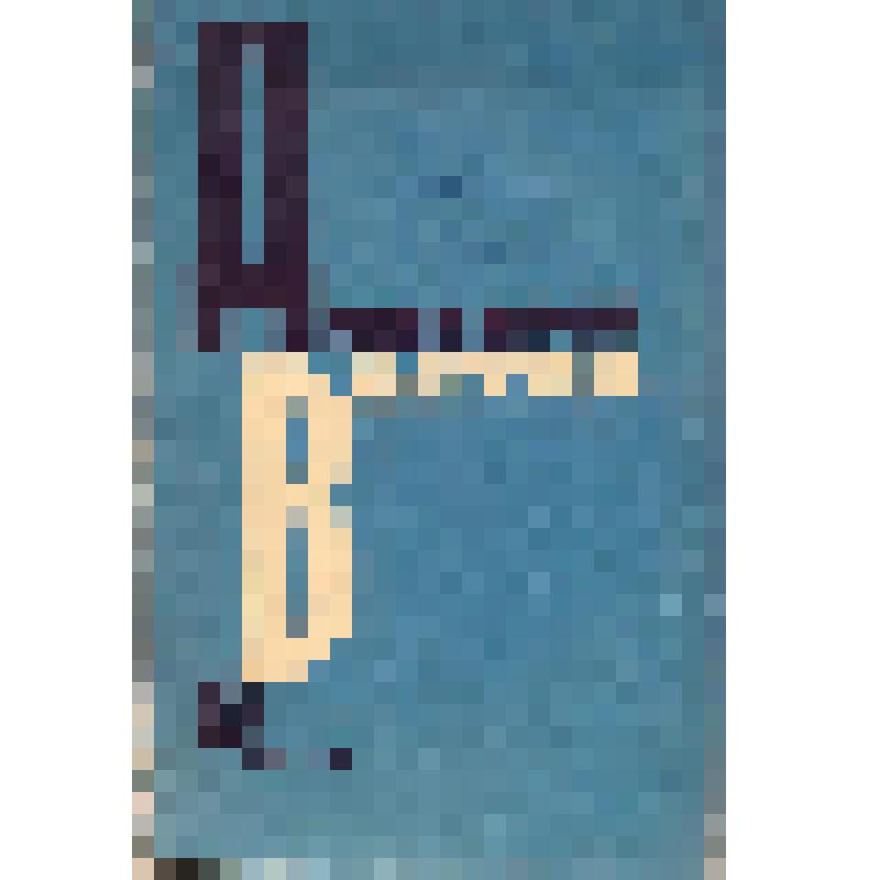 Журнал. Дальний Восток. – Хабаровск: Хабаровское книжное изд-во, 1977. - № 6