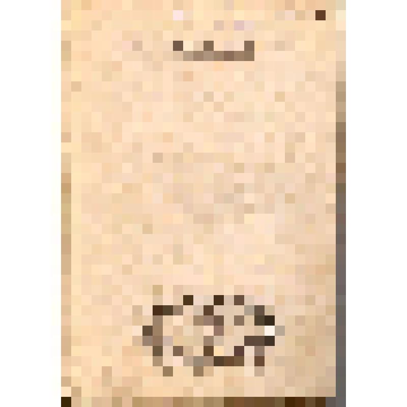 Книга. Альманах мировой литературы