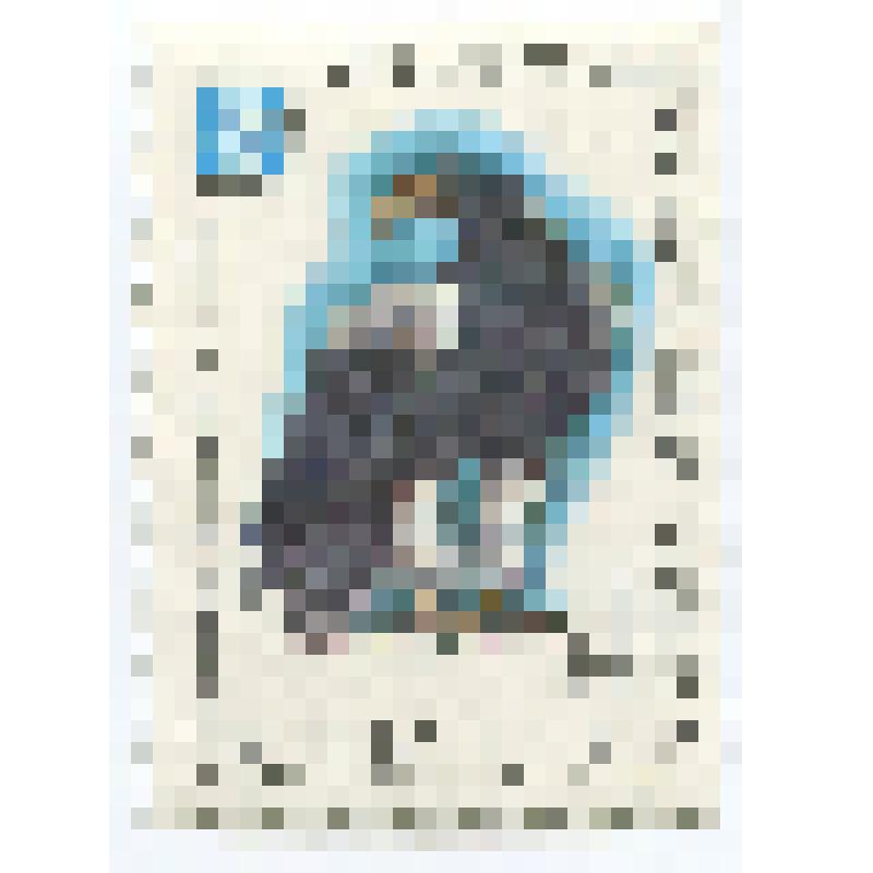 Марка почтовая СССР "Белоплечий орлан"