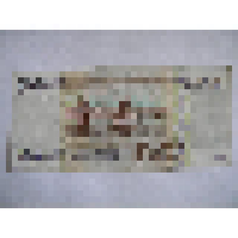 Денежный знак 1000 рублей