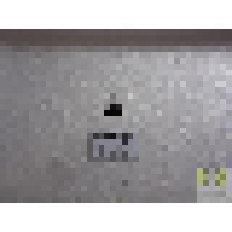 Тускляк двуличный (Amara bifrons Gull.)