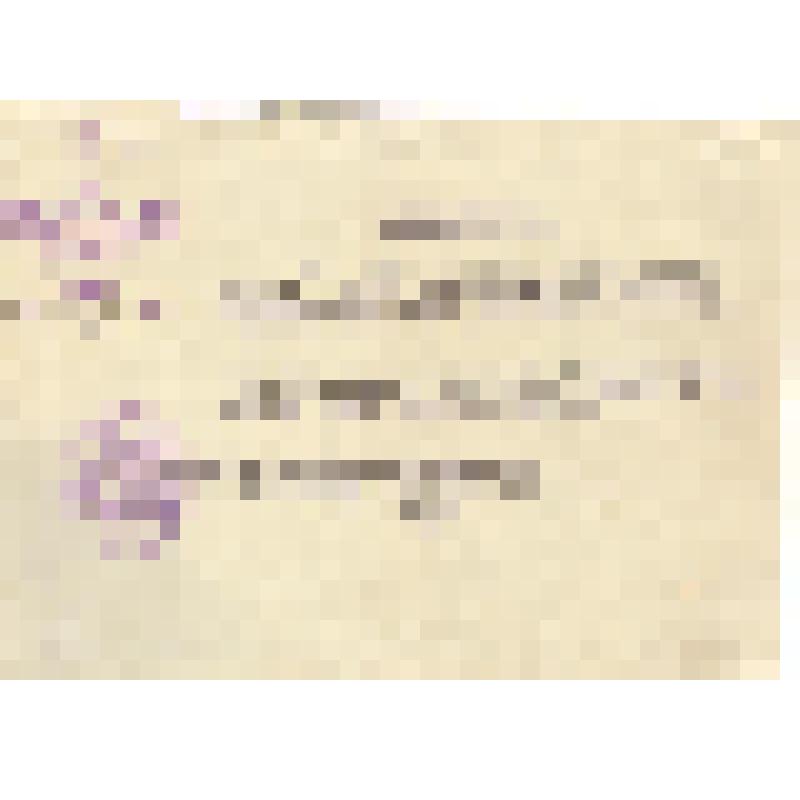 Справка ст. лейтенанта Вячеслава Ивановича Беляевва, о награждении орденом  «Александра Невского»