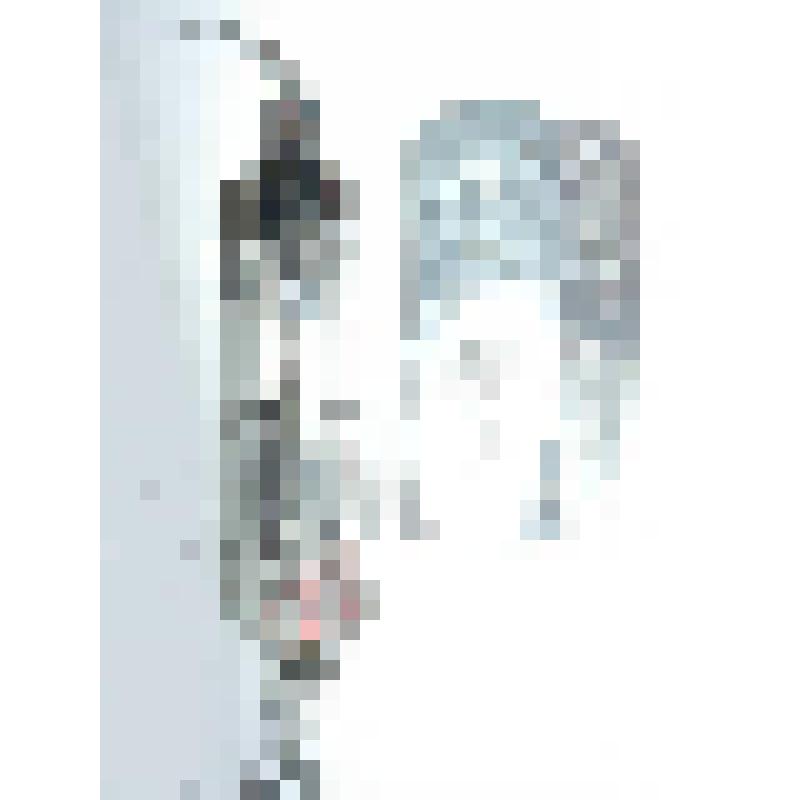 Лампа стержневая "2П5Б"