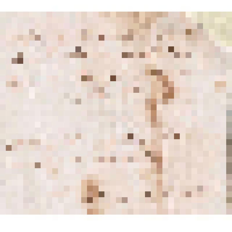 Записка от М. Мичурина