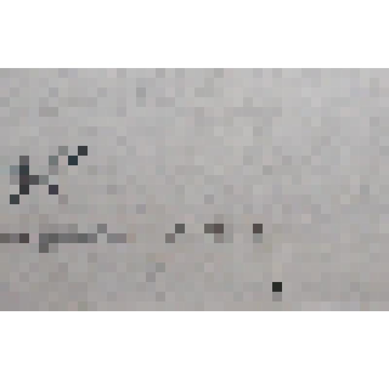 Картина "Портрет партизанки Самотесовой И.". Худ. Калужина С