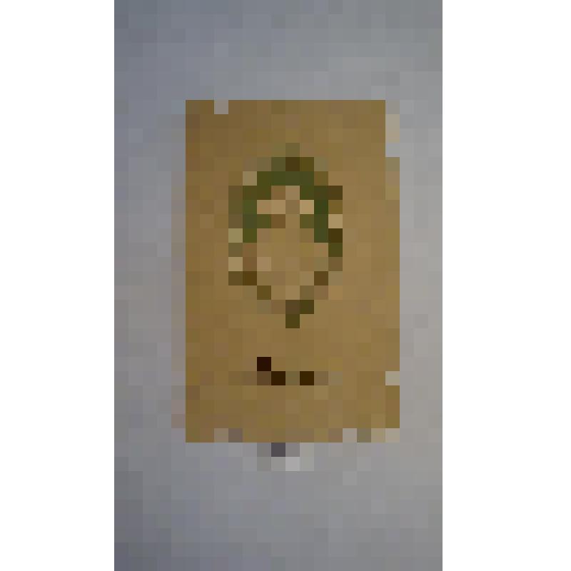 Портрет Л.Н.Толстого на картоне