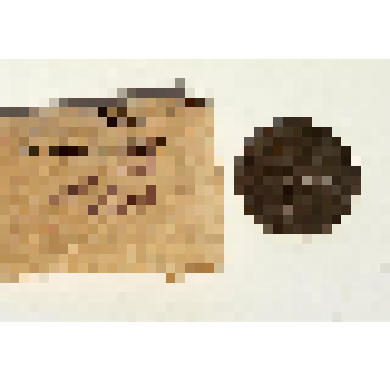 Монета. Монета "2 копейки"