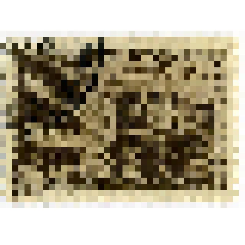 Марка 5 коп. Кислововдск. Санаторий "Россия". из альбома I. Курортов СССР