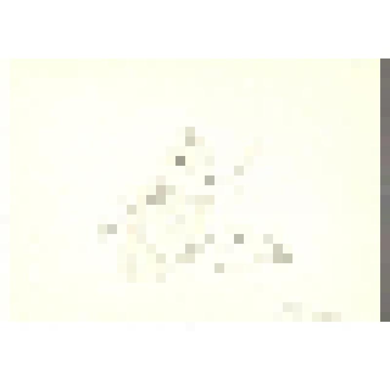 Эскиз куклы. «Эскиз реквизита». "Сон в летнюю ночь". Челябинск, Театр кукол