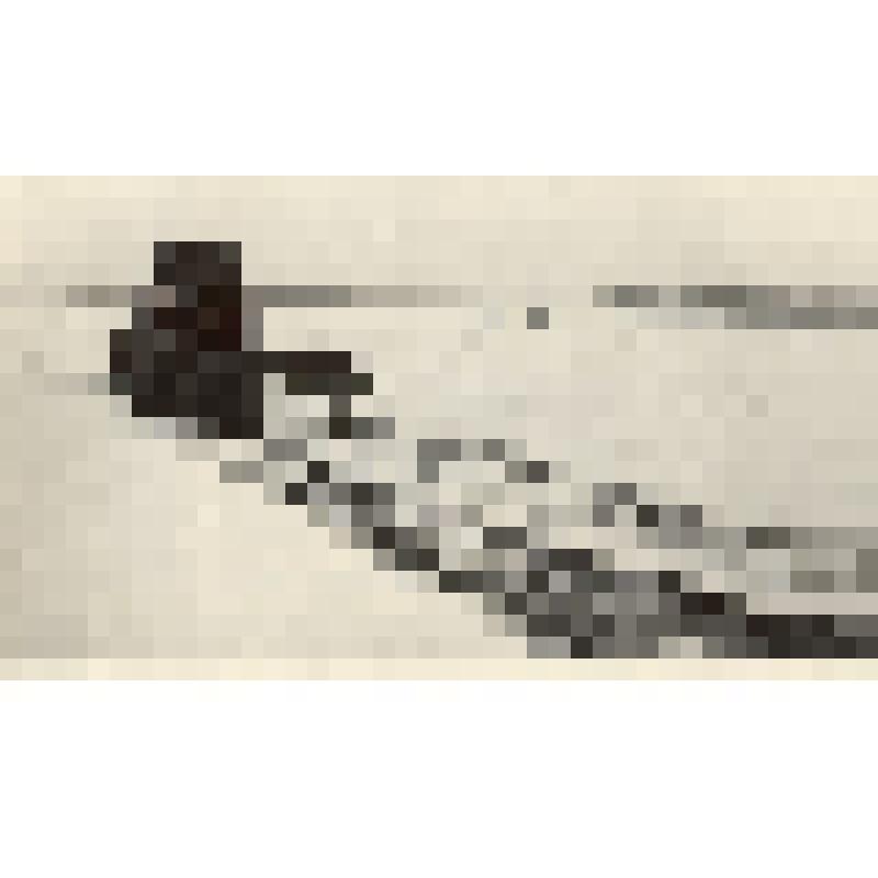 Фотография: задержание снега на полях совхоза Рыбинский Каменского района Алтайского края