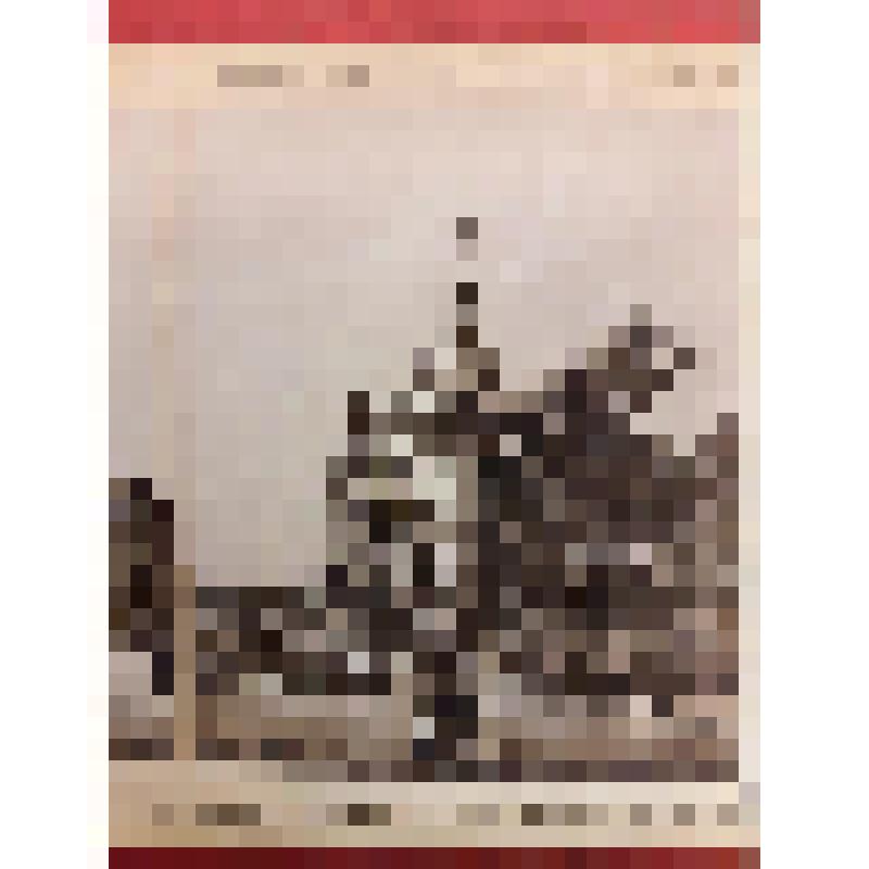 г. Киев. Часовня в память о спасении Александра II 4 апреля 1866 г. из альбома. Общий вид. Издатель не указан