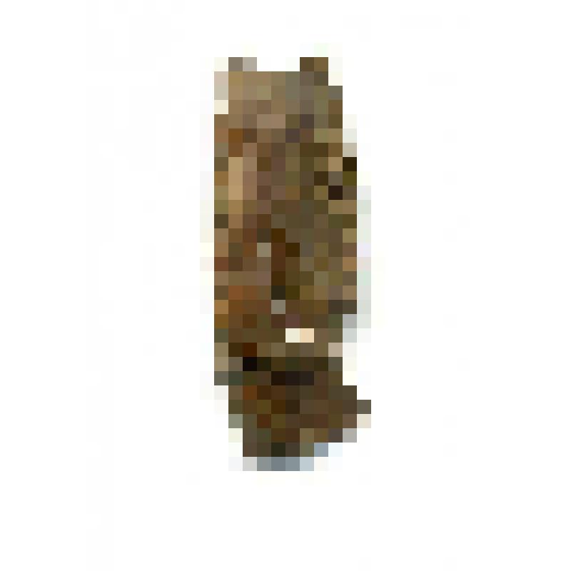 Фрагмент наконечника гарпуна (?)