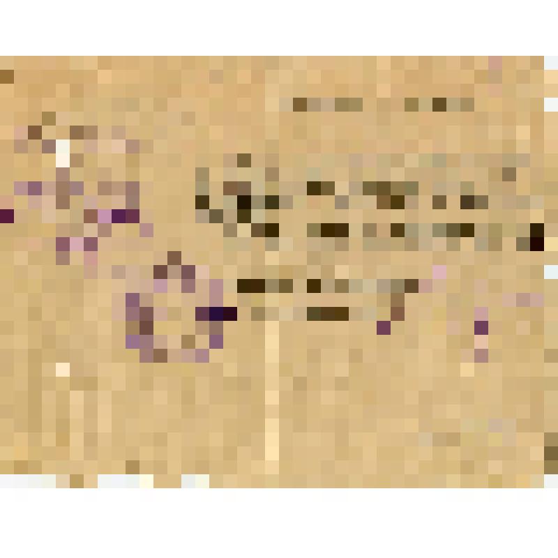 Документ. Удостоверение командировочное № 9 Фокина Петра Алексеевича, начальника Васильевского лесокомбината "Горьктранлеса", командированного в г. Москву на II Всесоюзную конференцию по сушке древесины и в г. Горький по вопросу капитальных вложений. Выда