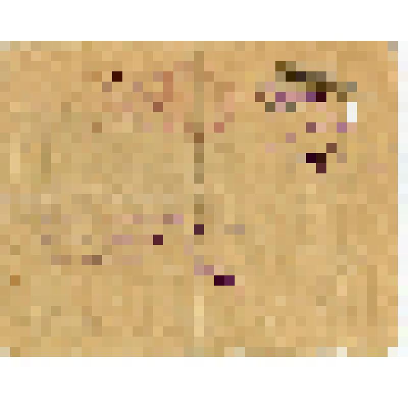 Документ. Удостоверение командировочное № 9 Фокина Петра Алексеевича, начальника Васильевского лесокомбината "Горьктранлеса", командированного в г. Москву на II Всесоюзную конференцию по сушке древесины и в г. Горький по вопросу капитальных вложений. Выда