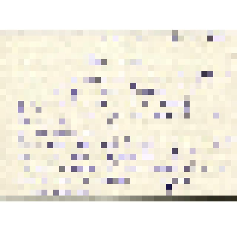 Письмо И.Гиг (Yvonne Guigues) к С.И.Сорокину