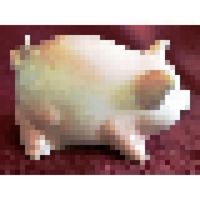 Статуэтка керамическая. Поросёнок