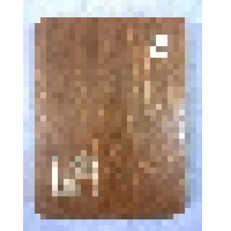 Шахматы дорожные Цивилева В.Г