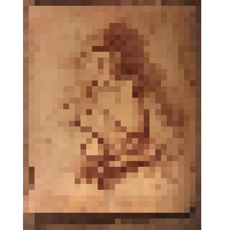 Рисунок. Иван Тиронов - боец Красной Арми. Автопортрет