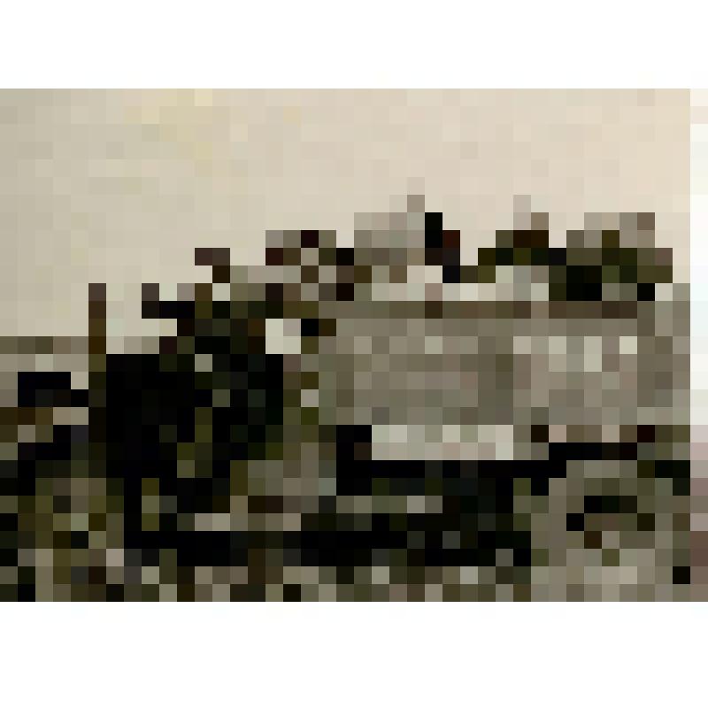 Фотография. Радина Вера Федоровна, бригадир полеводческой бригады колхоза «Большевик» с бригадой