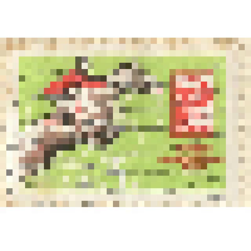 Марка почтовая «Скачки с препятствиями», серия «XVIII Олимпийские игры в Токио»