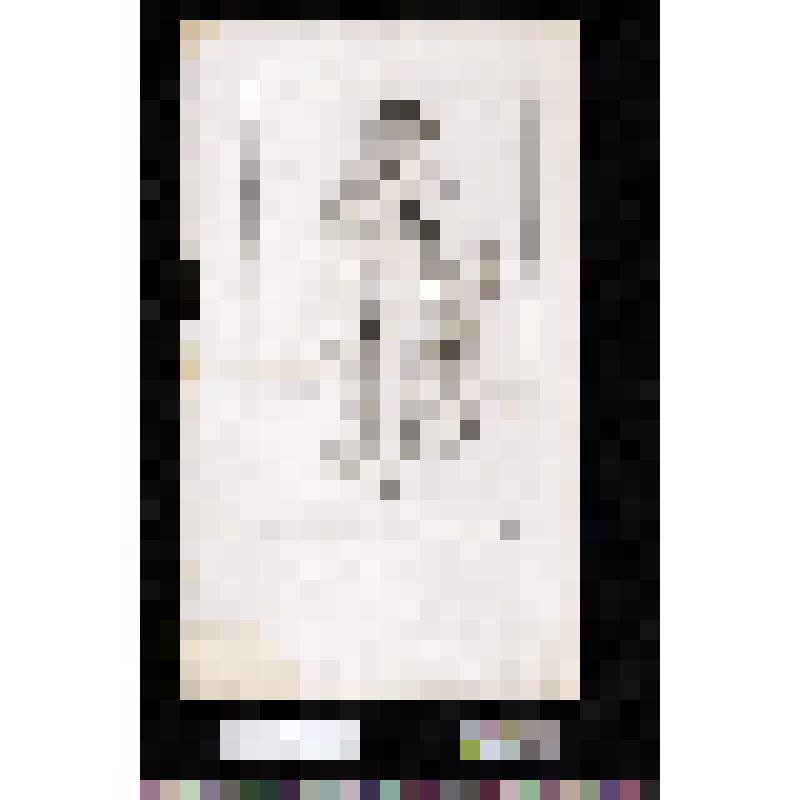 19. Душевнобольной, привязанный к креслу. Homme aliéné attaché sur une chaise