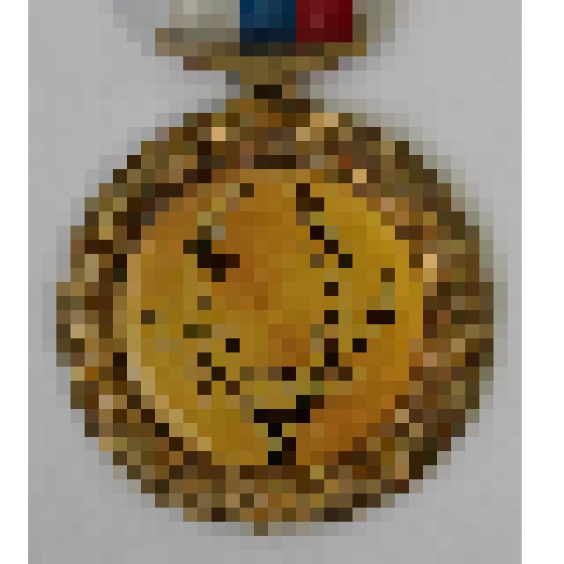 Медали памятные. Медаль за 1-е место в 1 Хакасской республиканской выставке охотничьих трофеев