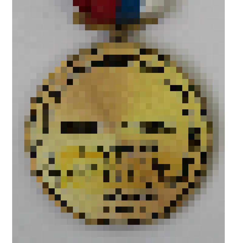 Медали памятные. Медаль за 1-е место в 1 Хакасской республиканской выставке охотничьих трофеев