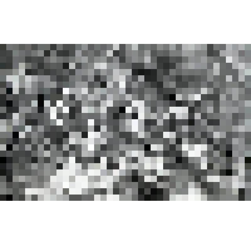 негатив. Барбарис обыкновенный