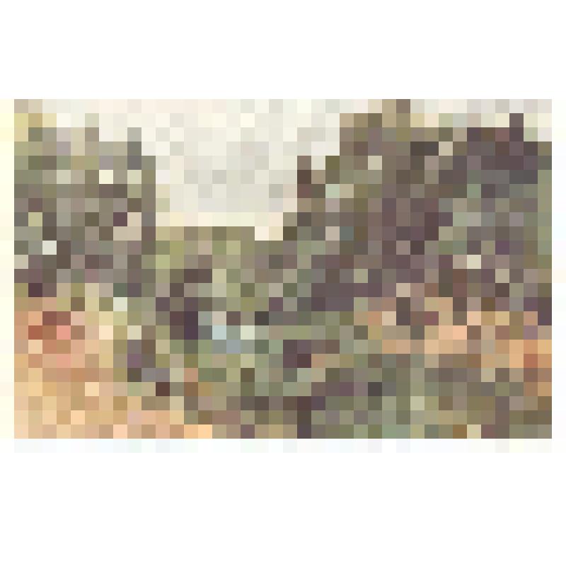 Открытка репродукция картины И. И. Шишкина