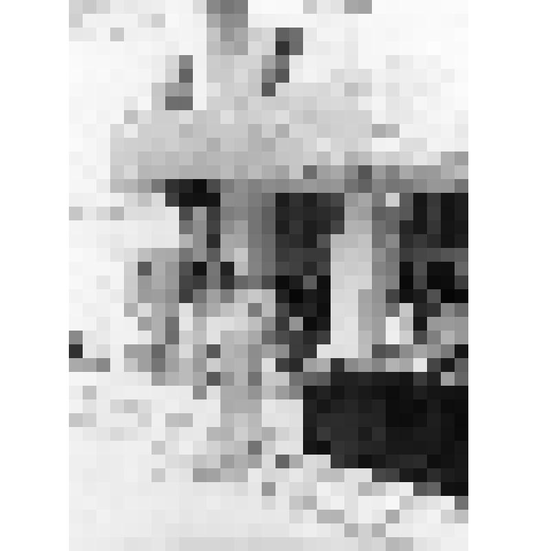 Фотография выступления директора совхоза " Им.62-й Армии"  Краснова Василия Александровича