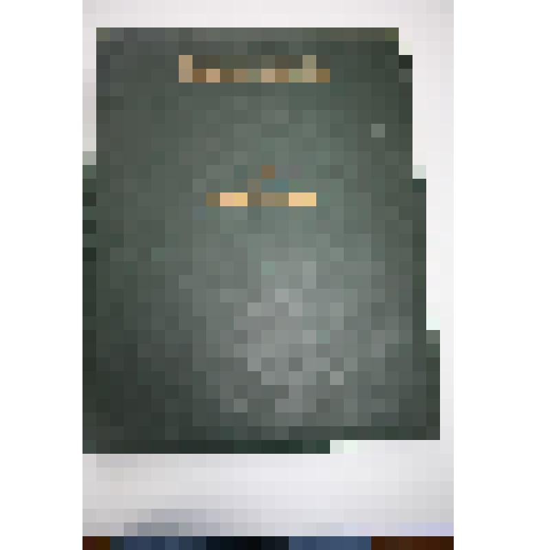 Альбом с образцами и фотографиями вышивок и образцов ковровых изделий