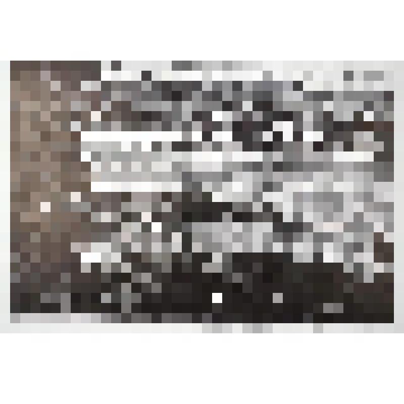 Печатный оттиск "Заречье", 2017 г