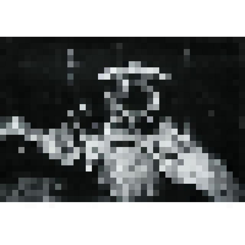 Триптих. "Сказитель кайчы". (Картина центральная). 2017 г