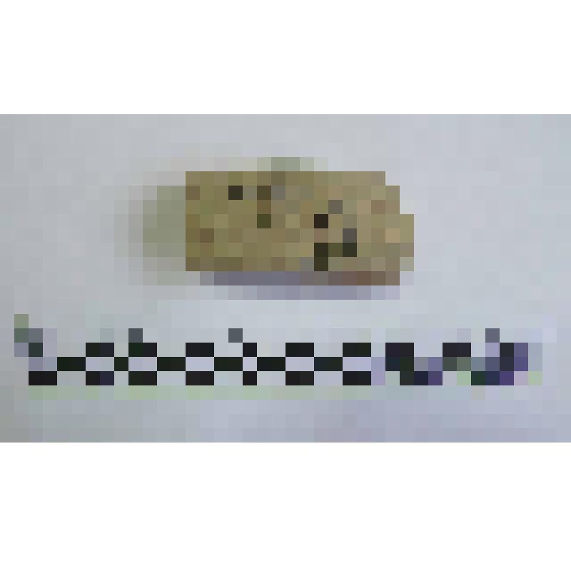Ручка амфоры типа Зеест 72