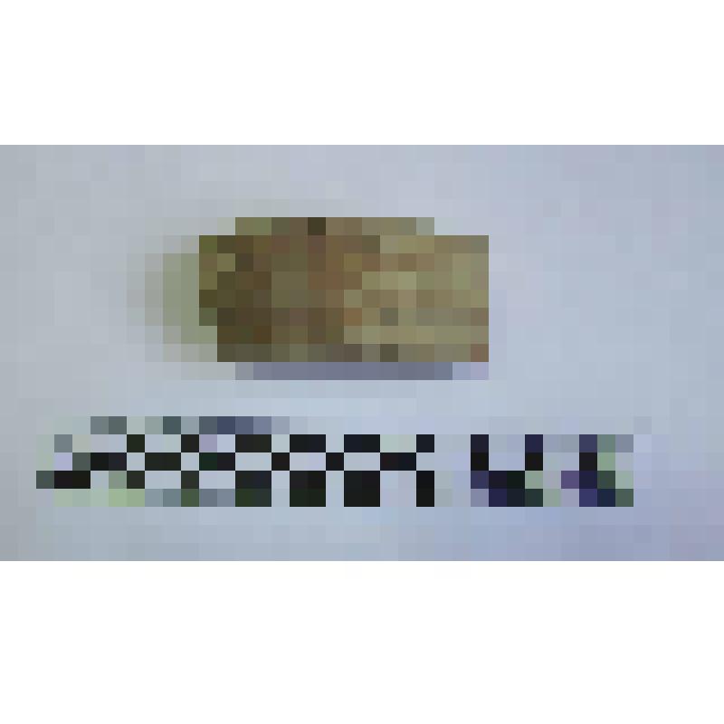 Ручка амфоры типа Зеест 72