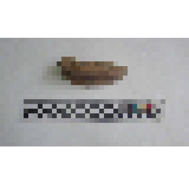 Фрагмент венчика амфоры типа Зеест 80
