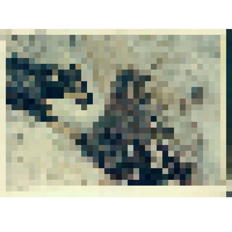 Остановили! (Кабан и собака)