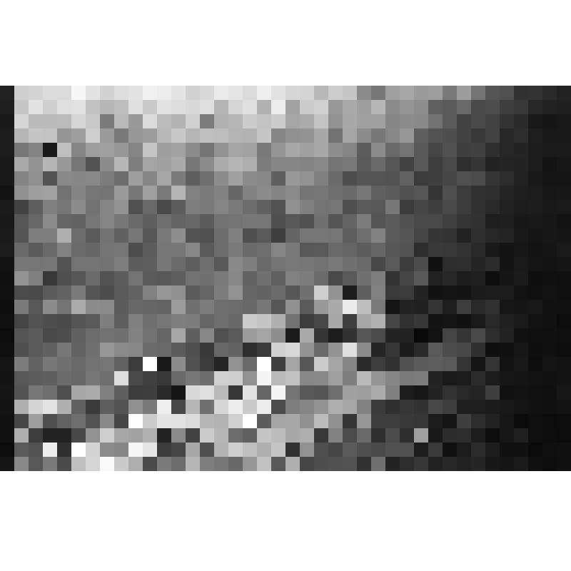 Негатив. Город Сочи