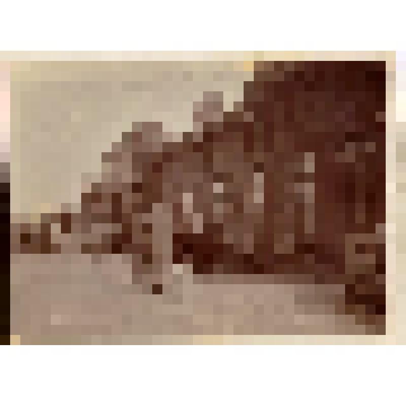 Ф/чб. Ж/д вокзал ст. Покровск РУЖД в Покровской слободе. Кон. XIX- нач. ХХ вв