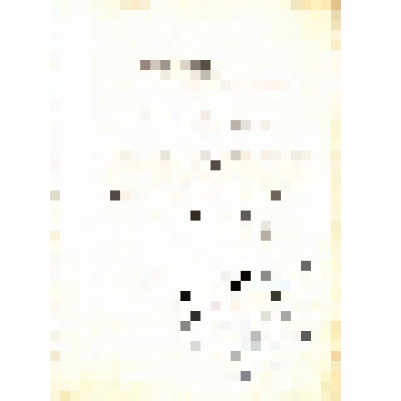 Адрес поздравительный  Хлебникову Н.М., Герою Советского Союза, генерал - полковнику артиллерии, в день его 70 - летия