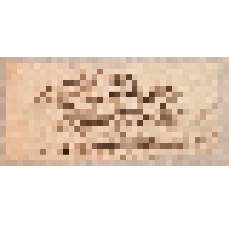 Эскиз статуэтки бурундука