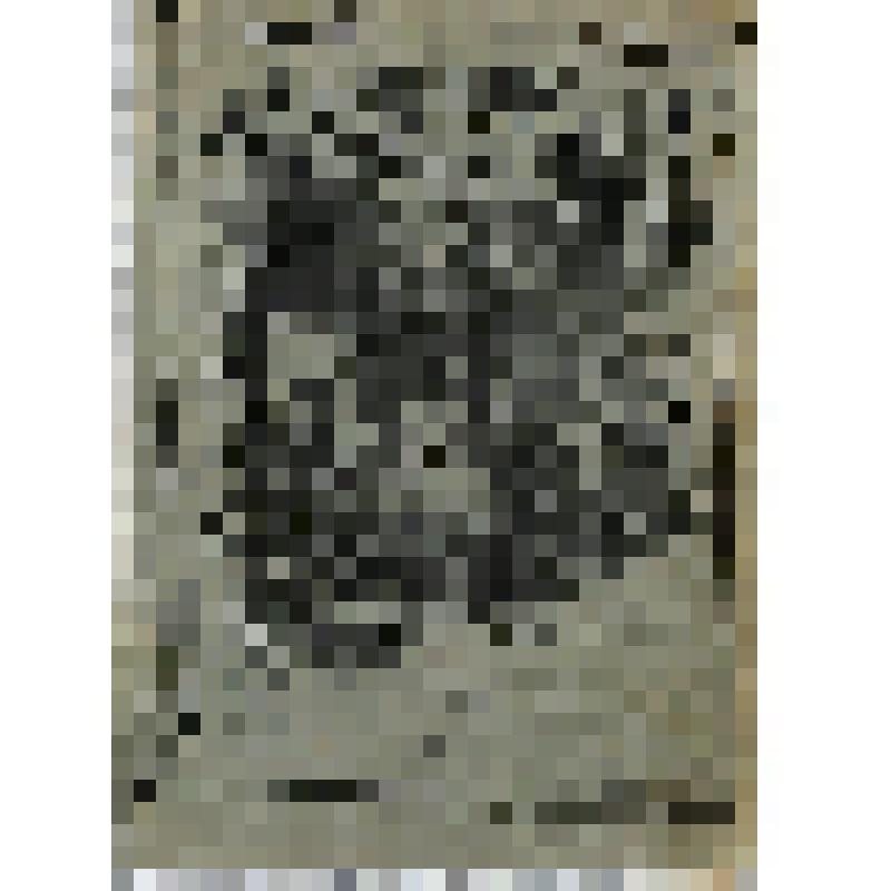 Брошюра. Два приятеля : Рассказ. - 3-е изд. - М.: О-во распространения полезных книг, 1899. - 31 с. (На обл. : Рассказы из русского быта.) На тит. листе № 826