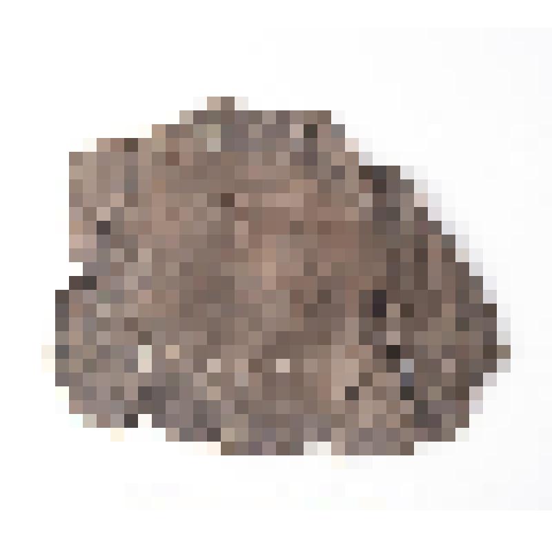 Сапога головка