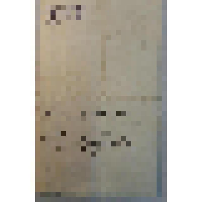 Записка, адресованная Ильёй Никитичем Которкиным Василию Нестеровичу Грибушину 5 мая 1855 г., с просьбой отпустить ему "говядины до 20 пудов"