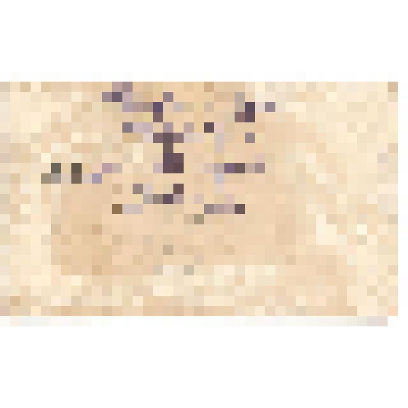 Фотография. Рабочие УМЗ: Иванов, Зайцев