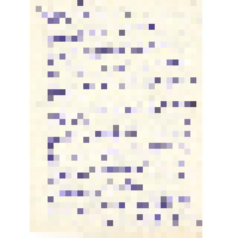 Письмо от В.В.Листовой Ел.Ф.Гнесиной 26.07.1955 г