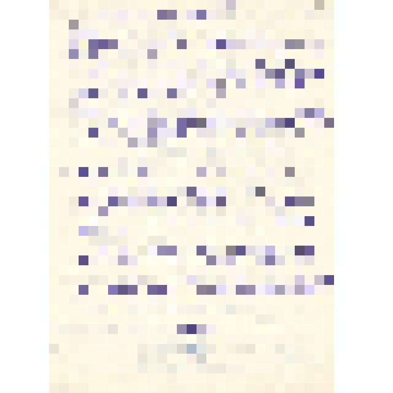 Письмо от В.В.Листовой Ел.Ф.Гнесиной 26.07.1955 г