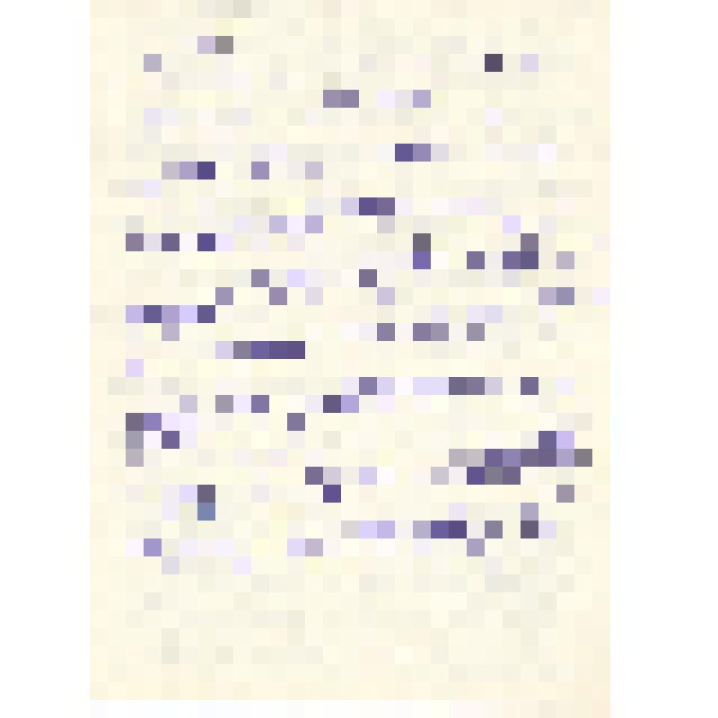 Письмо от В.В.Листовой Ел.Ф.Гнесиной 26.07.1955 г